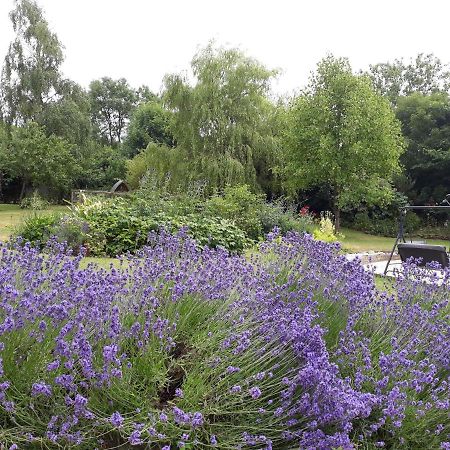 Stoneleigh Barn Bed And Breakfast Sherborne  Eksteriør bilde